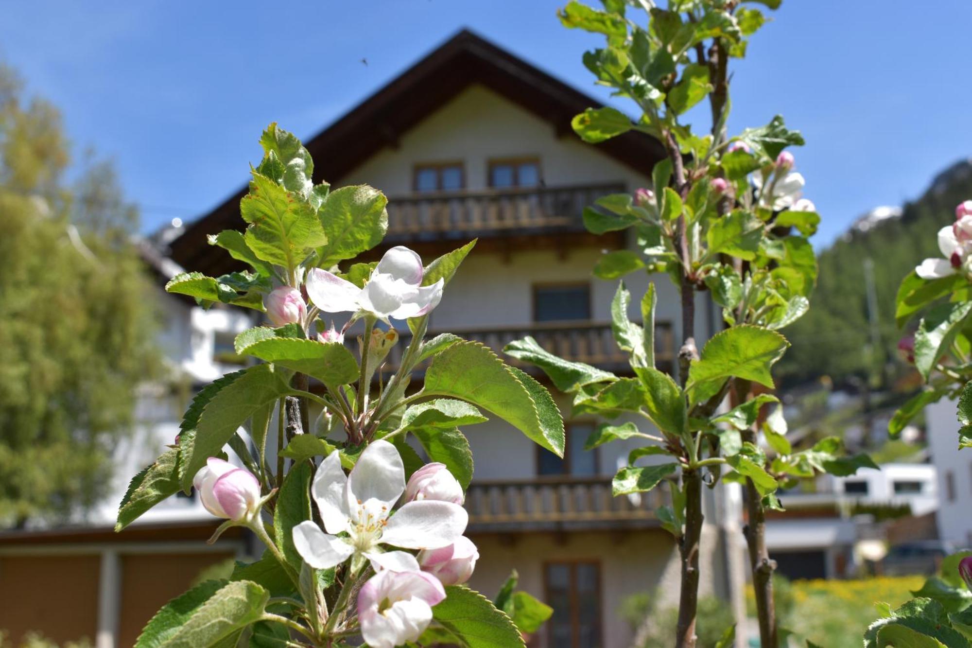 Bed and Breakfast Hirschstube Nauders Exterior foto